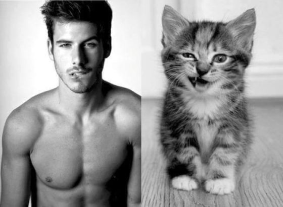 Ces photos d'hommes et de chatons vont vous faire craquer ! Quotes   