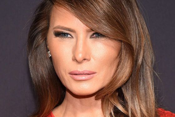 11 fois où Melania Trump vous a croisé sans très bien se rappeler qui vous êtes Quotes   