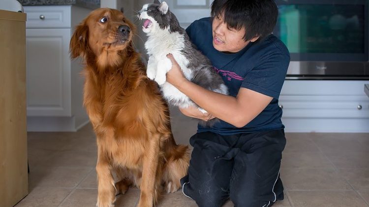 25 photos où chats et chiens vivent ensemble et ne s'aiment pas forcément ! Quotes   