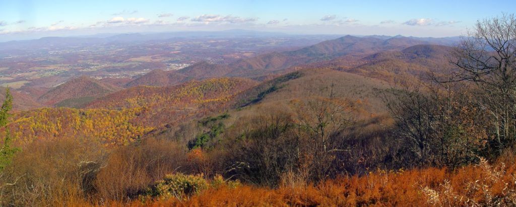 10 forêts hantées qui te donneront la chair de poule ! Quotes   