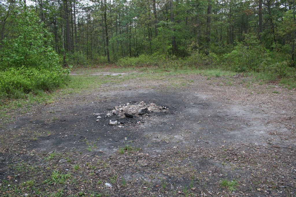 10 forêts hantées qui te donneront la chair de poule ! Quotes   