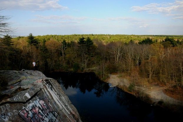 10 forêts hantées qui te donneront la chair de poule ! Quotes   