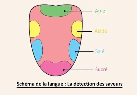 Ces choses complètement dingues sur le corps humain Quotes   