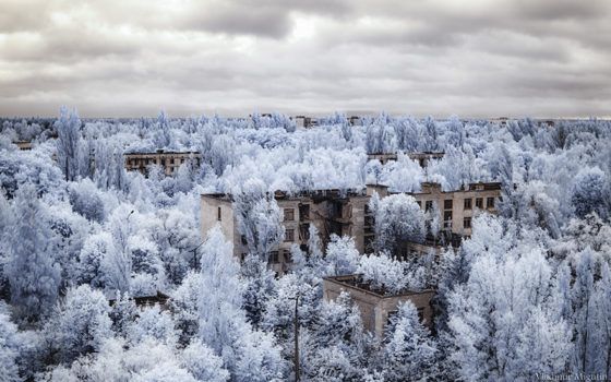 Ce qu'ils ont découvert à Tchernobyl va vous étonner Quotes   