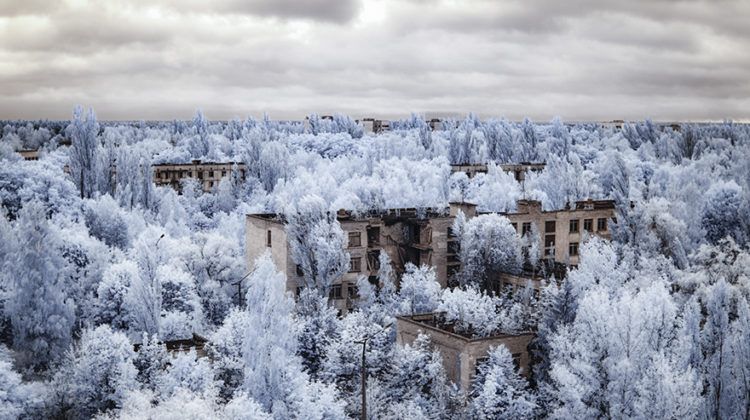 Ce qu'ils ont découvert à Tchernobyl va vous étonner Quotes   