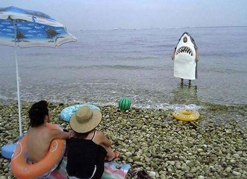 Las fotos en la playa tomadas en el momento adecuado Quotes