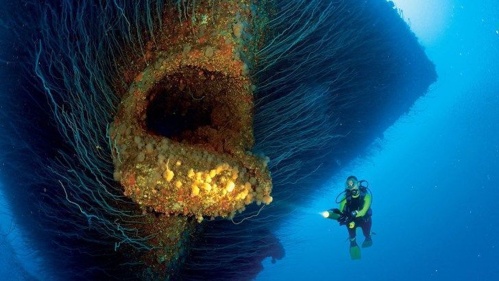 Ces découvertes de plongeurs qui vous feront froid dans le dos ! Quotes   