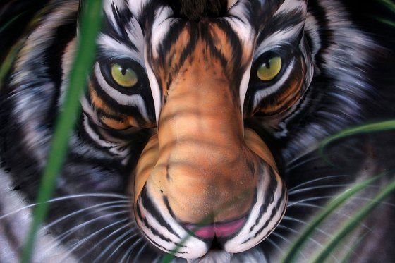 20 body painting d'animaux magnifiques ! Quotes   