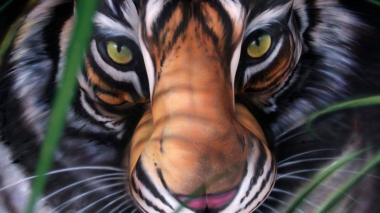 20 body painting d'animaux magnifiques ! Quotes   