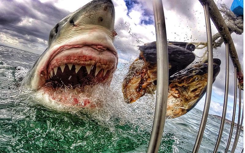 Ces 16 endroits où il ne faut surtout pas se baigner ! Danger de mort ! Quotes   