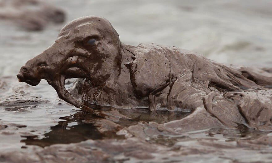 Ces images choquantes de l'effet de la pollution sur les animaux Quotes   