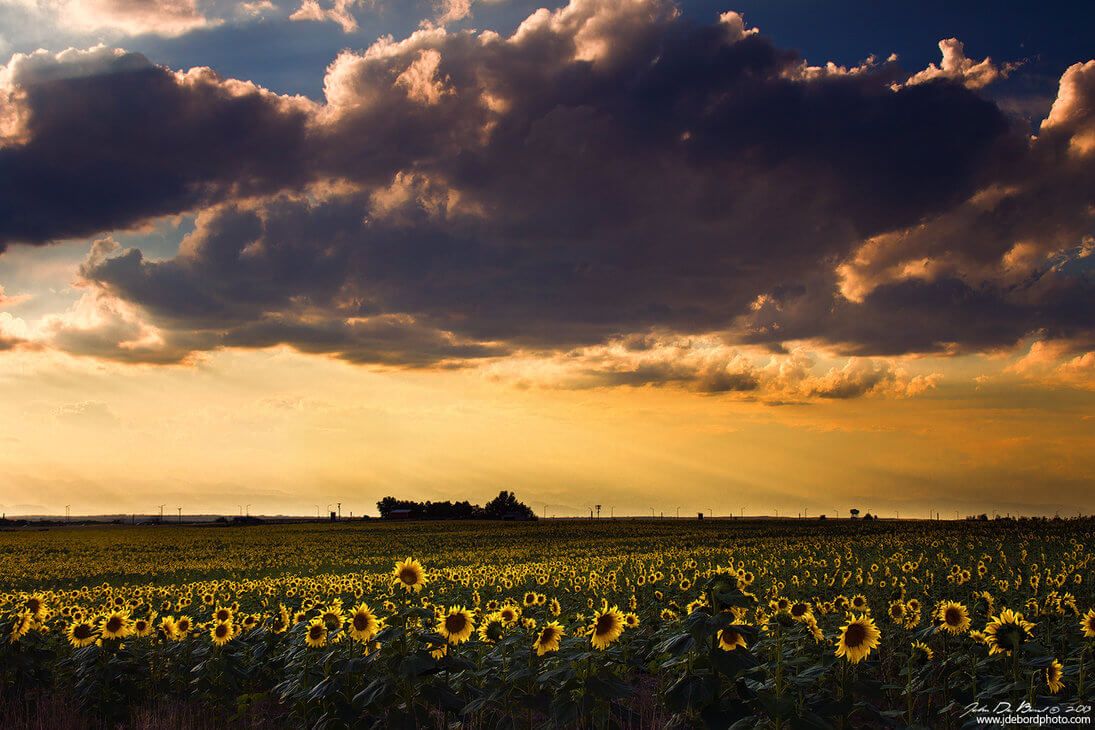 10 moyens d'économiser de l'argent pendant l'été Quotes   