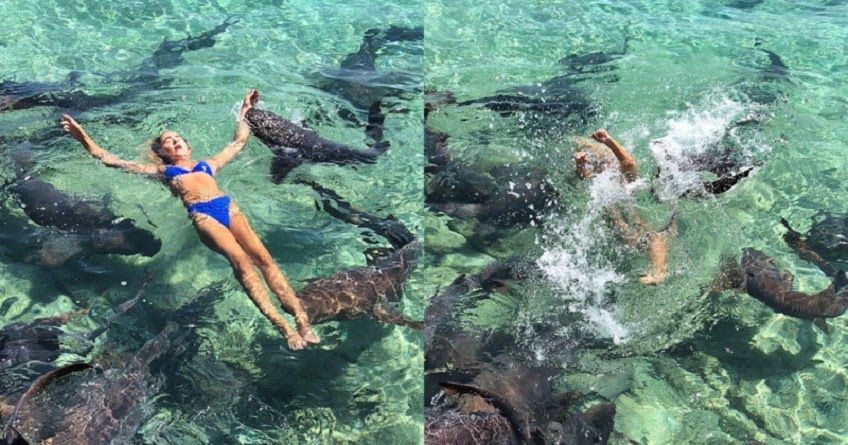 Une instagrameuse voulait faire une belle photo et s'est fait mordre par un requin Quotes   