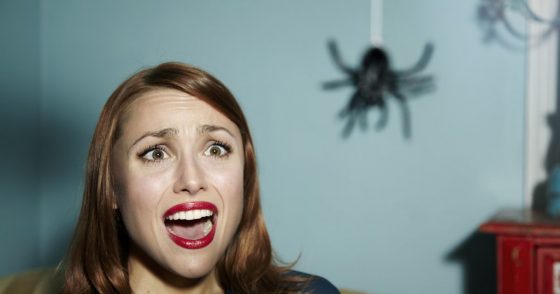 11 façons simples de tuer une araignée, cette petite bestiole qu'on déteste tous Quotes   