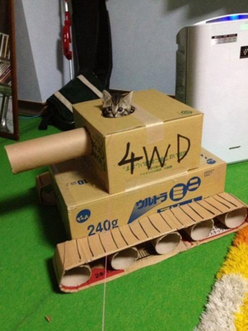 25 genius, cute, and ludicrous cardboard cat houses to inspire you! DIY Tricks   