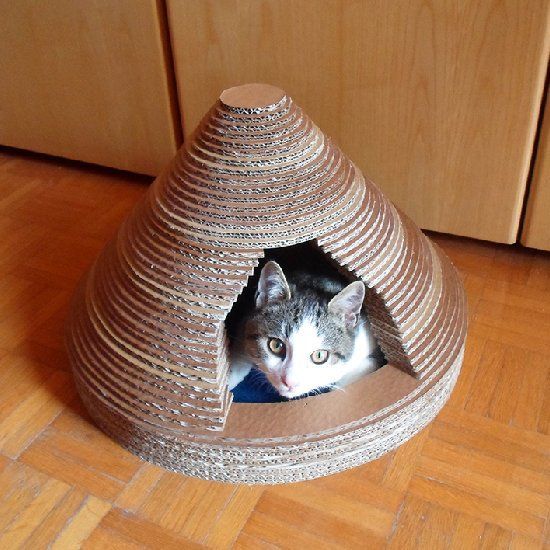 25 genius, cute, and ludicrous cardboard cat houses to inspire you! DIY Tricks   