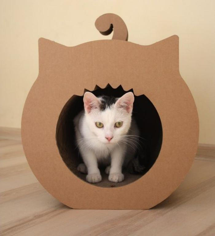 25 genius, cute, and ludicrous cardboard cat houses to inspire you! DIY Tricks   