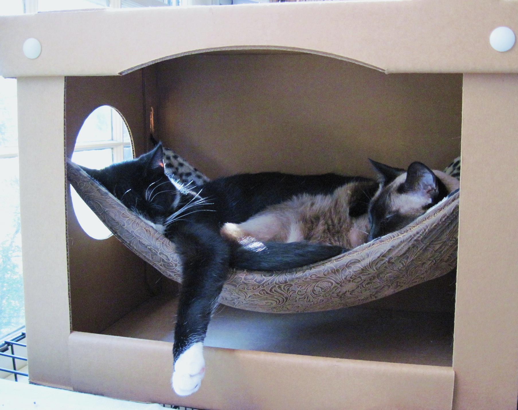 25 genius, cute, and ludicrous cardboard cat houses to inspire you! DIY Tricks   