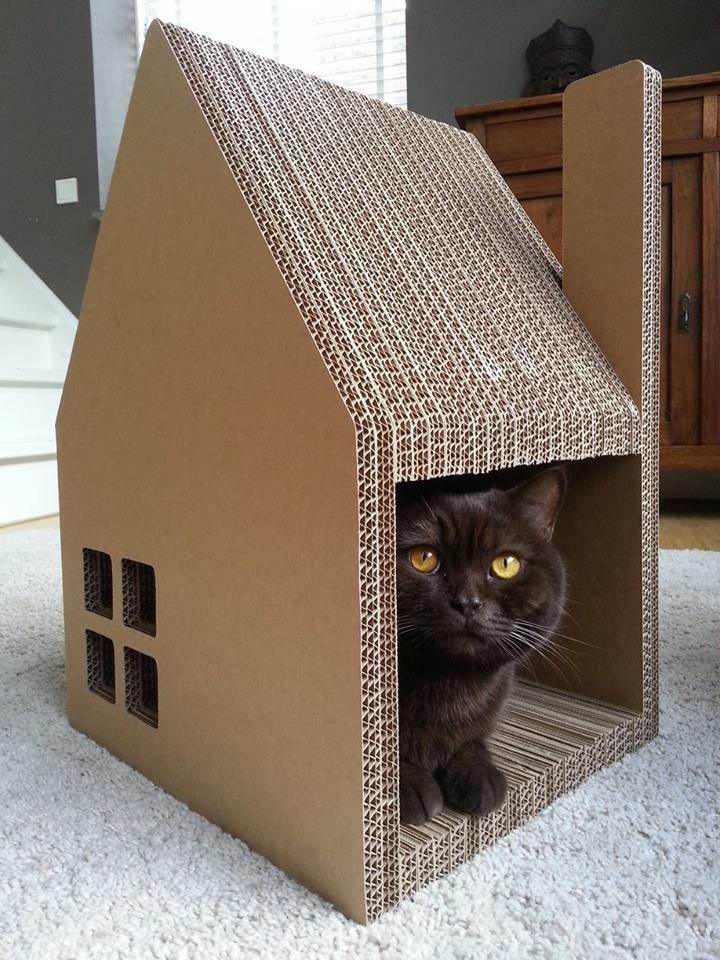 25 genius, cute, and ludicrous cardboard cat houses to inspire you! DIY Tricks   