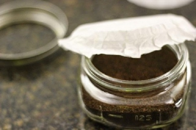 Check Out The 12 Ways to Recycle & Reuse Your Coffee Grounds! Home Hacks Reuse & Recycle   