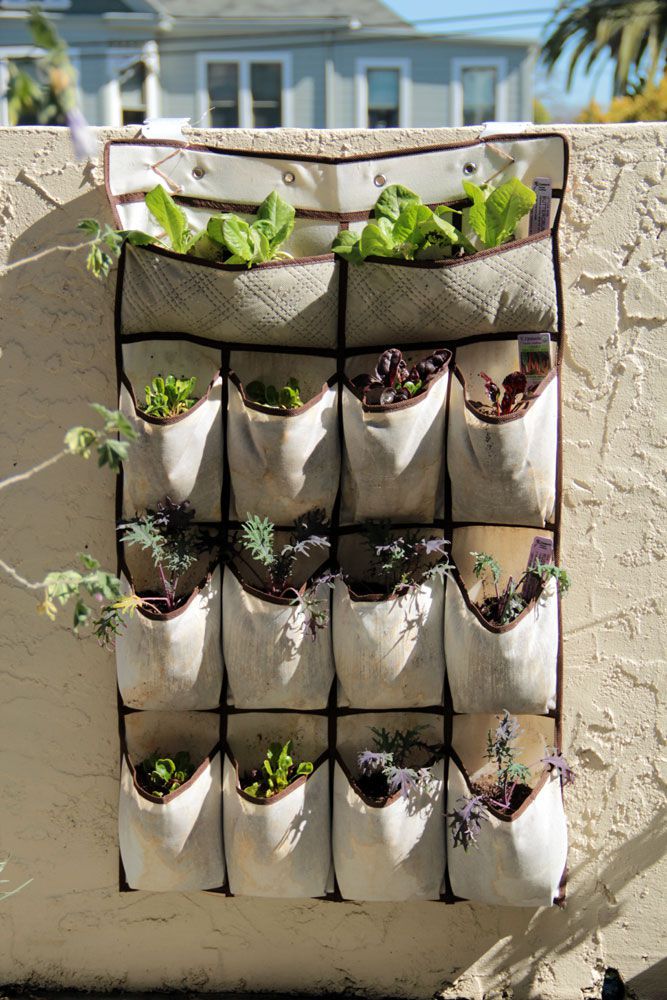 14 Idées de jardins verticaux pour tirer le meilleur parti de votre espace extérieur Astuce pour l'extérieur Astuces DIY   