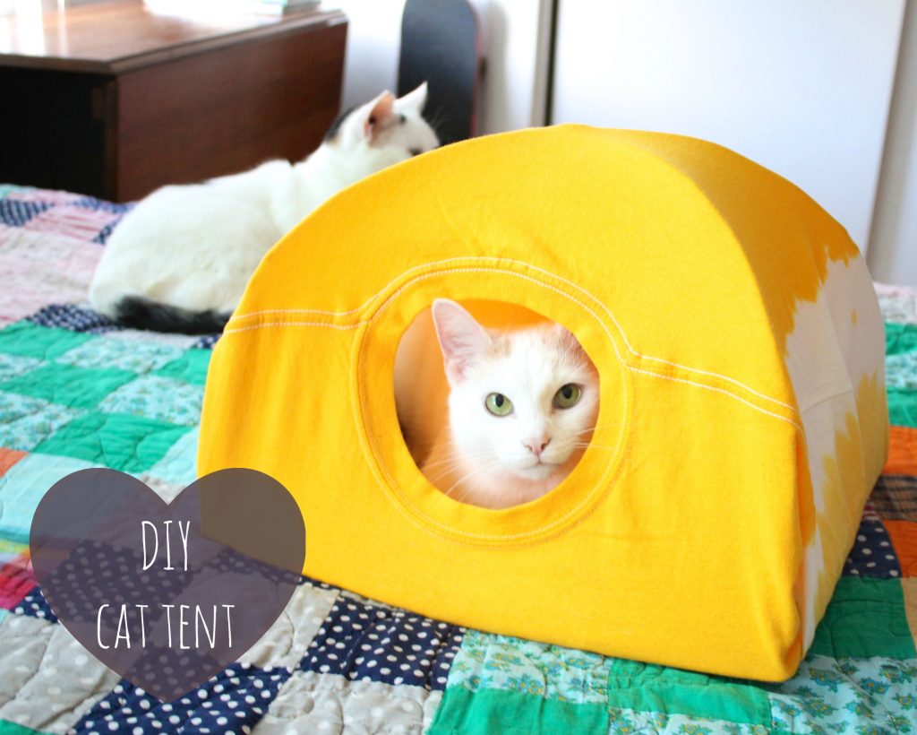 18 fun DIY toys for cats and dogs using stuff around the house! DIY Tricks   