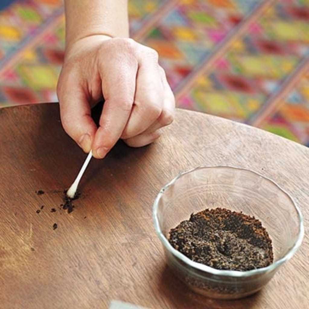 Check Out The 12 Ways to Recycle & Reuse Your Coffee Grounds! Home Hacks Reuse & Recycle   